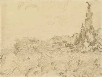 Wheat Field with Cypresses